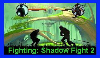 Fighting Shadow Fight 2