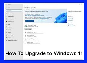 How To Upgrade to Windows 11
