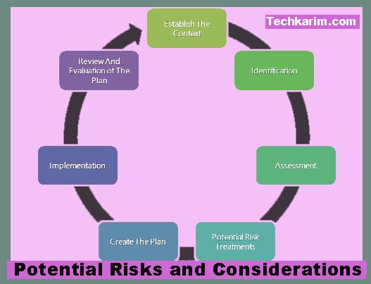 Potential Risks and Considerations