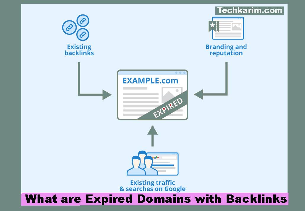 What are Expired Domains with Backlinks