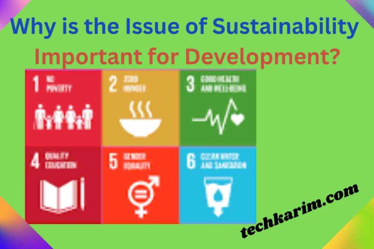 Why is the Issue of Sustainability Important for Development
