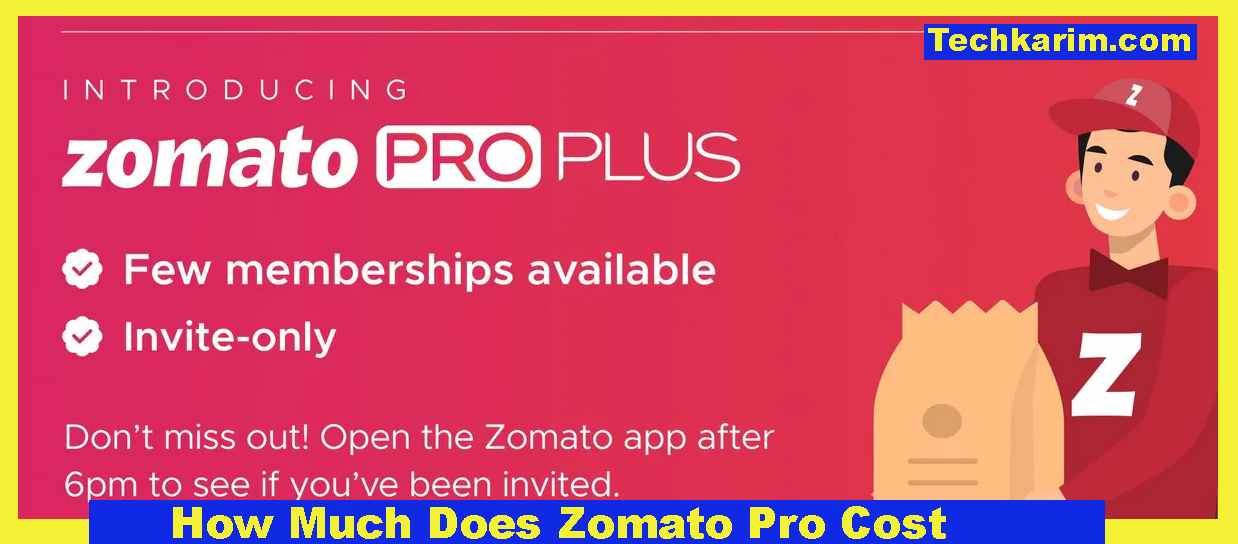 How Much Does Zomato Pro Cost